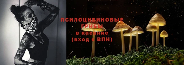 гашиш Аркадак