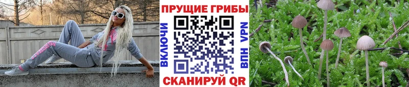 Псилоцибиновые грибы прущие грибы  мега сайт  Чудово 